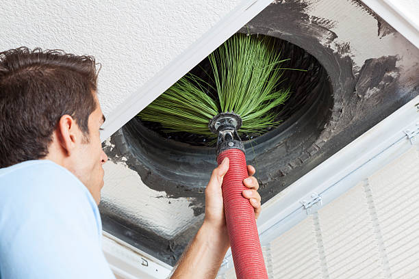 Best Ductwork Cleaning Services  in West Mayfield, PA
